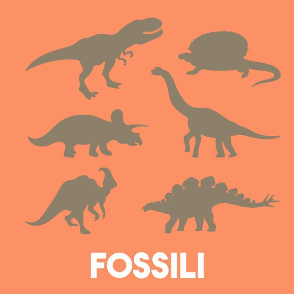 Laboratorio sui fossili di Scienza Semplice in Campania